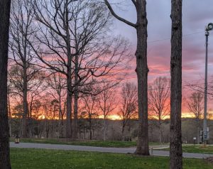 I Want, I Want, I Want