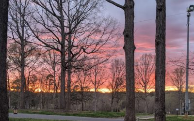 I Want, I Want, I Want