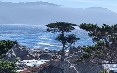 Pebble Beach, CA – The Lone Cypress