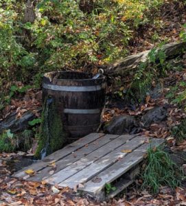 Fresh Mountain Water