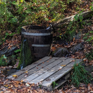 Fresh Mountain Water