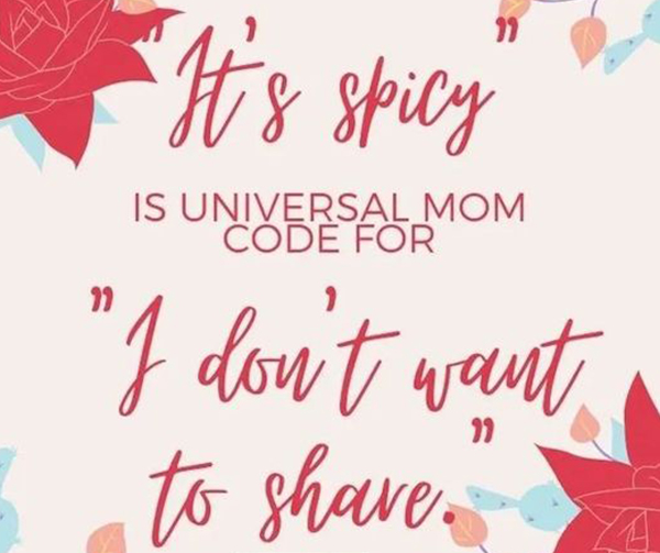 Mom Joke Spicy