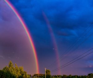 Check Out My Rainbow