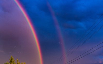 Check Out My Rainbow