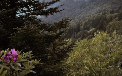 A Moment in the Mountains