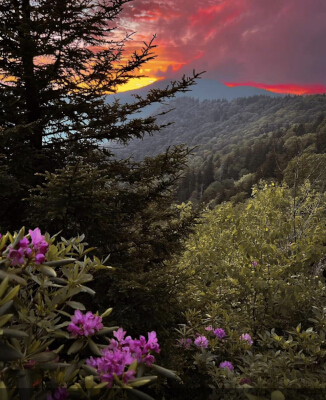 A Moment in the Mountains